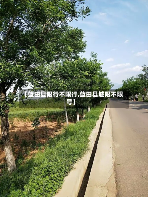 【蓝田县限行不限行,蓝田县城限不限号】