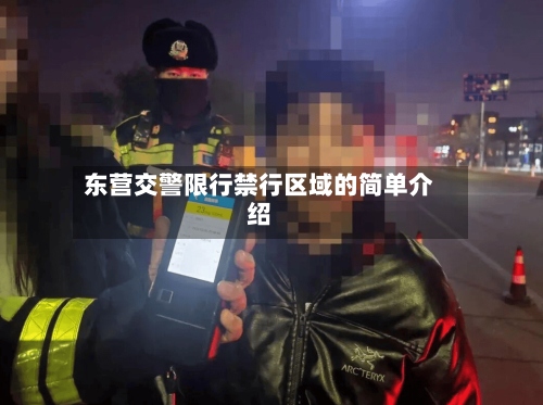 东营交警限行禁行区域的简单介绍-第3张图片