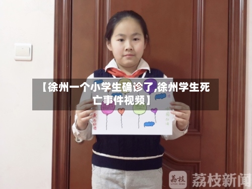 【徐州一个小学生确诊了,徐州学生死亡事件视频】