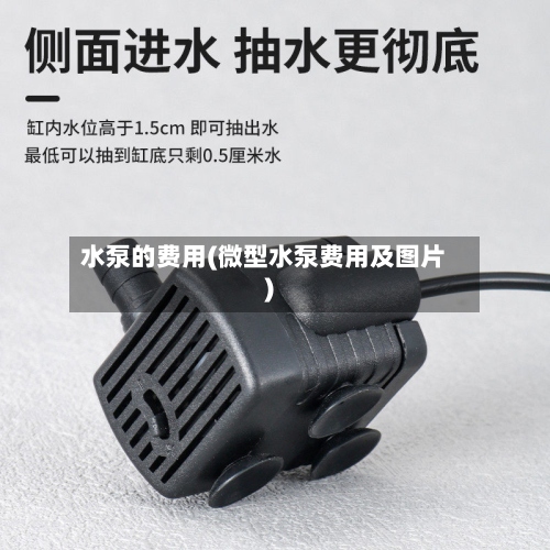 水泵的费用(微型水泵费用及图片)-第3张图片
