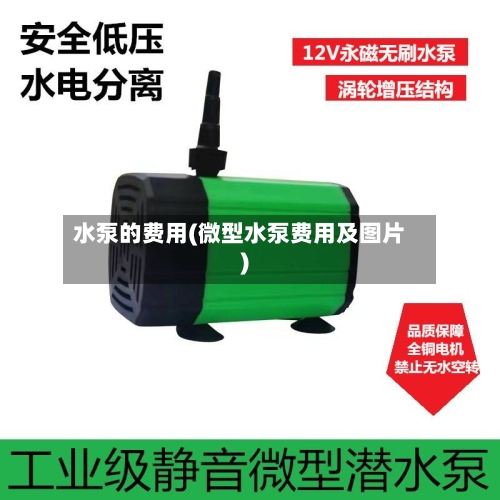 水泵的费用(微型水泵费用及图片)-第2张图片