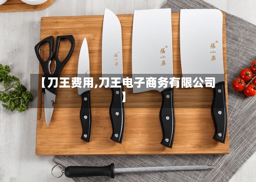 【刀王费用,刀王电子商务有限公司】-第3张图片