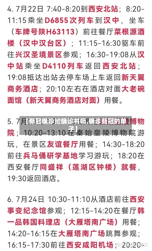 【新冠确诊给确诊书吗,确诊新冠的单子】-第3张图片