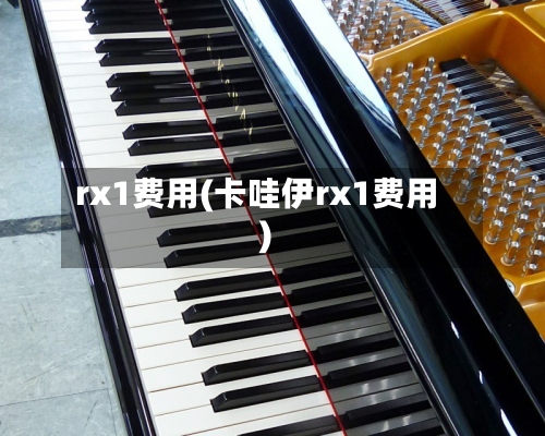 rx1费用(卡哇伊rx1费用)