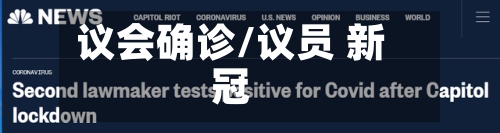 议会确诊/议员 新冠-第2张图片