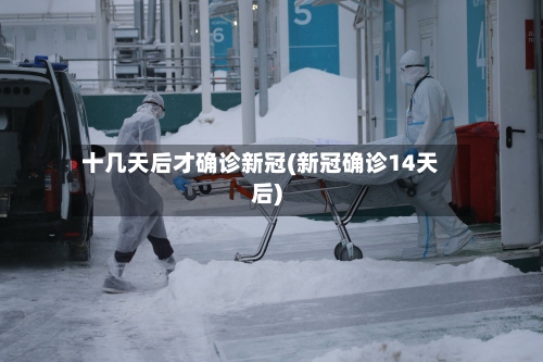 十几天后才确诊新冠(新冠确诊14天后)-第2张图片