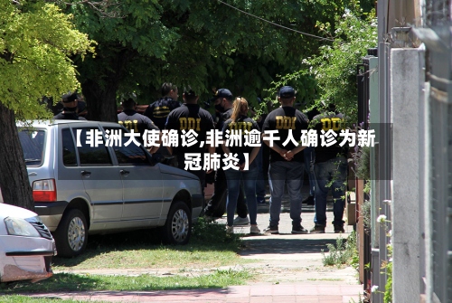 【非洲大使确诊,非洲逾千人确诊为新冠肺炎】-第2张图片