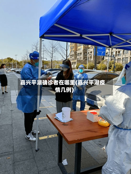 嘉兴平湖确诊者在哪里(嘉兴平湖疫情几例)-第3张图片