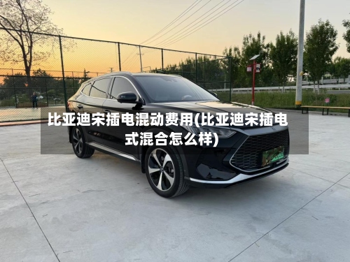 比亚迪宋插电混动费用(比亚迪宋插电式混合怎么样)-第2张图片