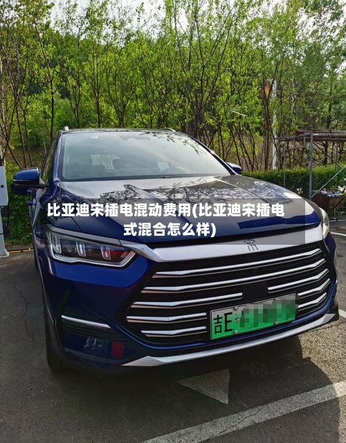 比亚迪宋插电混动费用(比亚迪宋插电式混合怎么样)-第3张图片