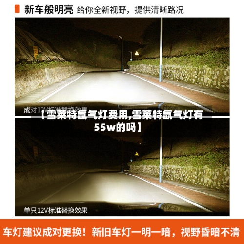 【雪莱特氙气灯费用,雪莱特氙气灯有55w的吗】-第3张图片