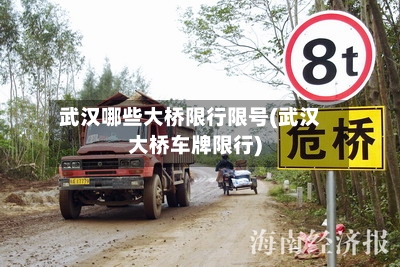 武汉哪些大桥限行限号(武汉大桥车牌限行)