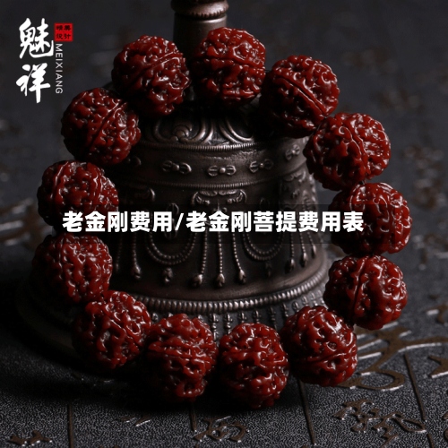 老金刚费用/老金刚菩提费用表-第3张图片