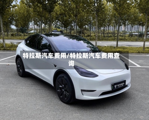特拉斯汽车费用/特拉斯汽车费用查询