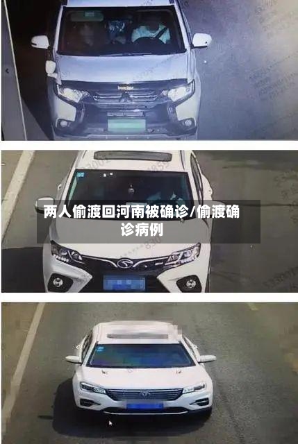 两人偷渡回河南被确诊/偷渡确诊病例-第2张图片