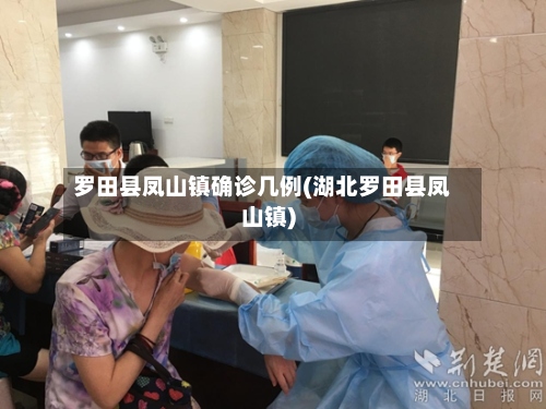 罗田县凤山镇确诊几例(湖北罗田县凤山镇)