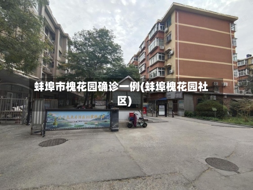 蚌埠市槐花园确诊一例(蚌埠槐花园社区)-第2张图片