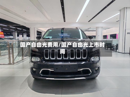 国产自由光费用/国产自由光上市时间-第2张图片
