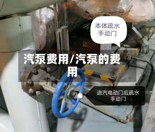 汽泵费用/汽泵的费用-第3张图片