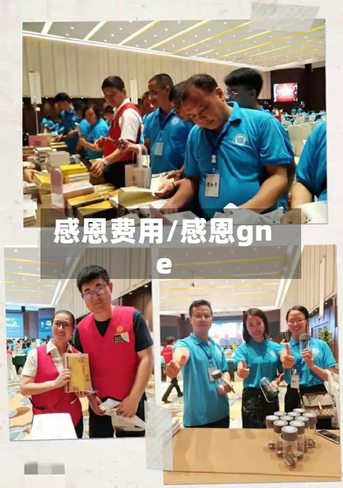 感恩费用/感恩gne-第3张图片