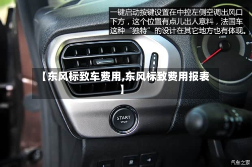 【东风标致车费用,东风标致费用报表】