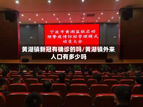 黄湖镇新冠有确诊的吗/黄湖镇外来人口有多少吗-第2张图片
