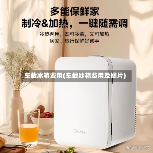 车载冰箱费用(车载冰箱费用及图片)