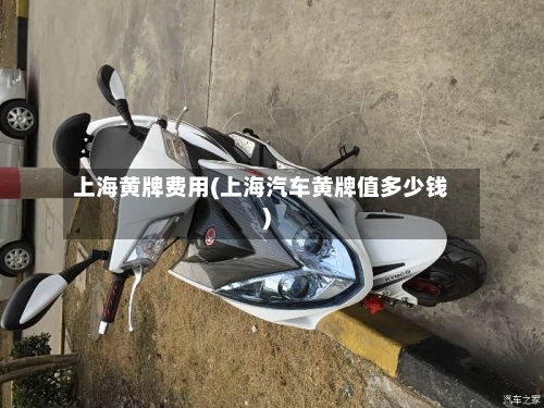 上海黄牌费用(上海汽车黄牌值多少钱)