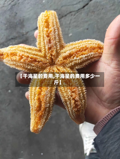 【干海星的费用,干海星的费用多少一斤】