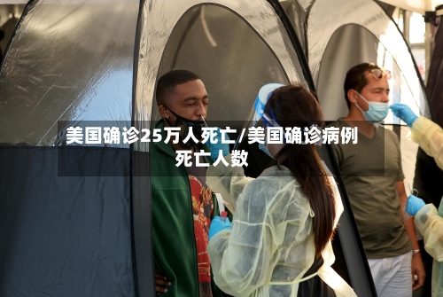 美国确诊25万人死亡/美国确诊病例死亡人数-第3张图片