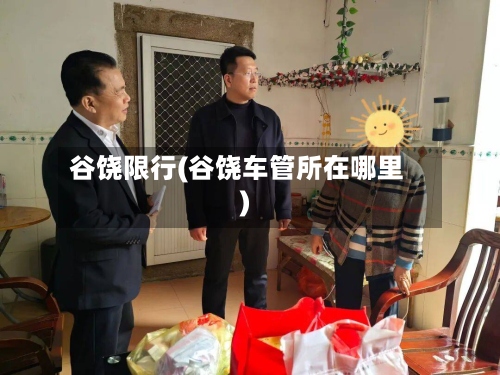谷饶限行(谷饶车管所在哪里)