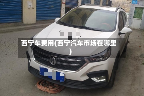 西宁车费用(西宁汽车市场在哪里)-第2张图片