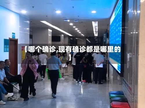 【哪个确诊,现有确诊都是哪里的】