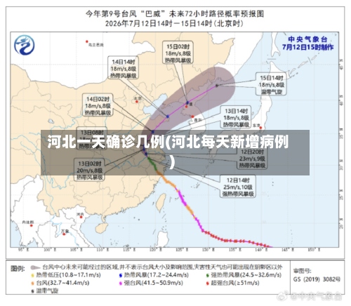 河北一天确诊几例(河北每天新增病例)-第2张图片
