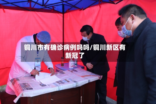铜川市有确诊病例吗吗/铜川新区有新冠了-第2张图片