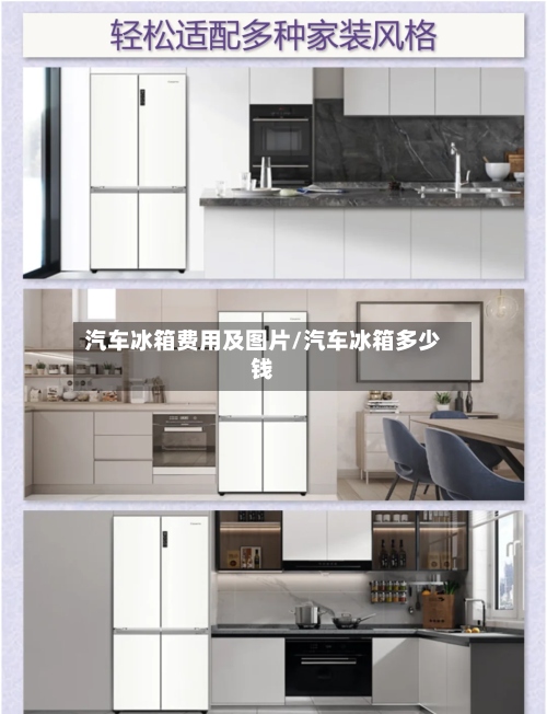 汽车冰箱费用及图片/汽车冰箱多少钱
