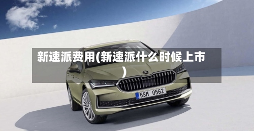 新速派费用(新速派什么时候上市)-第2张图片