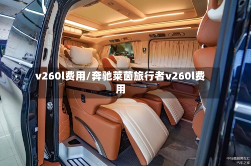 v260l费用/奔驰莱茵旅行者v260l费用-第2张图片