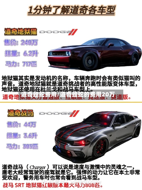 道奇蝰蛇费用/道奇蝰蛇的费用20万