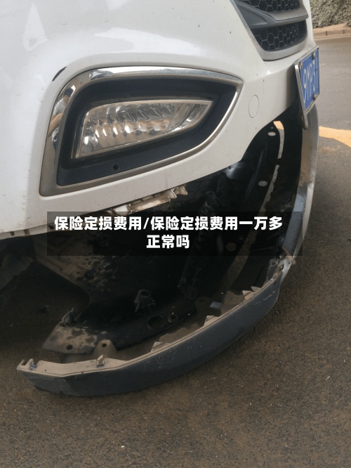 保险定损费用/保险定损费用一万多正常吗-第2张图片