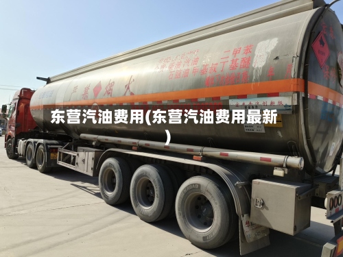 东营汽油费用(东营汽油费用最新)