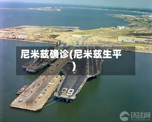 尼米兹确诊(尼米兹生平)-第2张图片