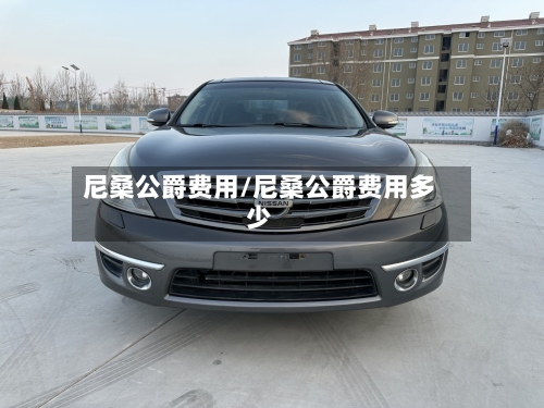 尼桑公爵费用/尼桑公爵费用多少-第2张图片