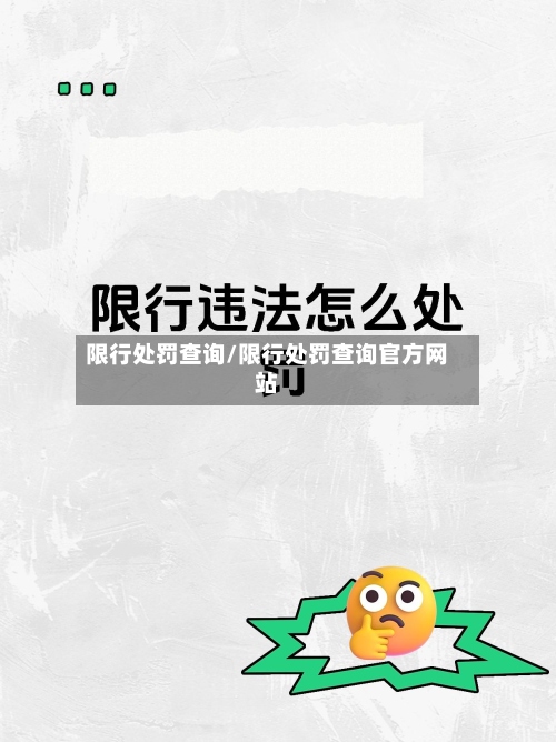 限行处罚查询/限行处罚查询官方网站-第2张图片
