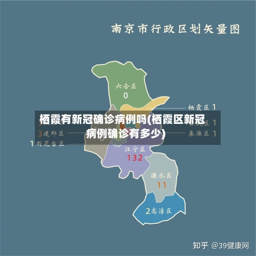 栖霞有新冠确诊病例吗(栖霞区新冠病例确诊有多少)-第2张图片