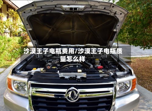沙漠王子电瓶费用/沙漠王子电瓶质量怎么样