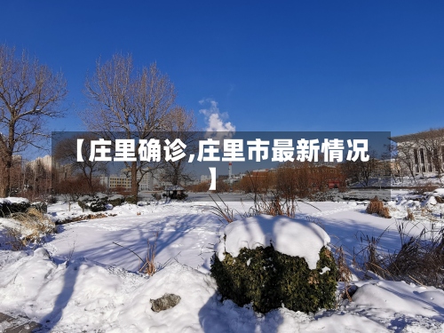 【庄里确诊,庄里市最新情况】-第2张图片