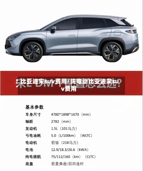 比亚迪宋suv费用/纯电动比亚迪宋suv费用