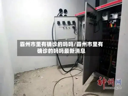 霸州市里有确诊的吗吗/霸州市里有确诊的吗吗最新消息-第2张图片