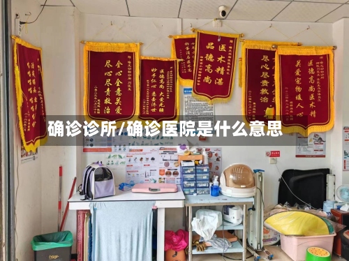 确诊诊所/确诊医院是什么意思
